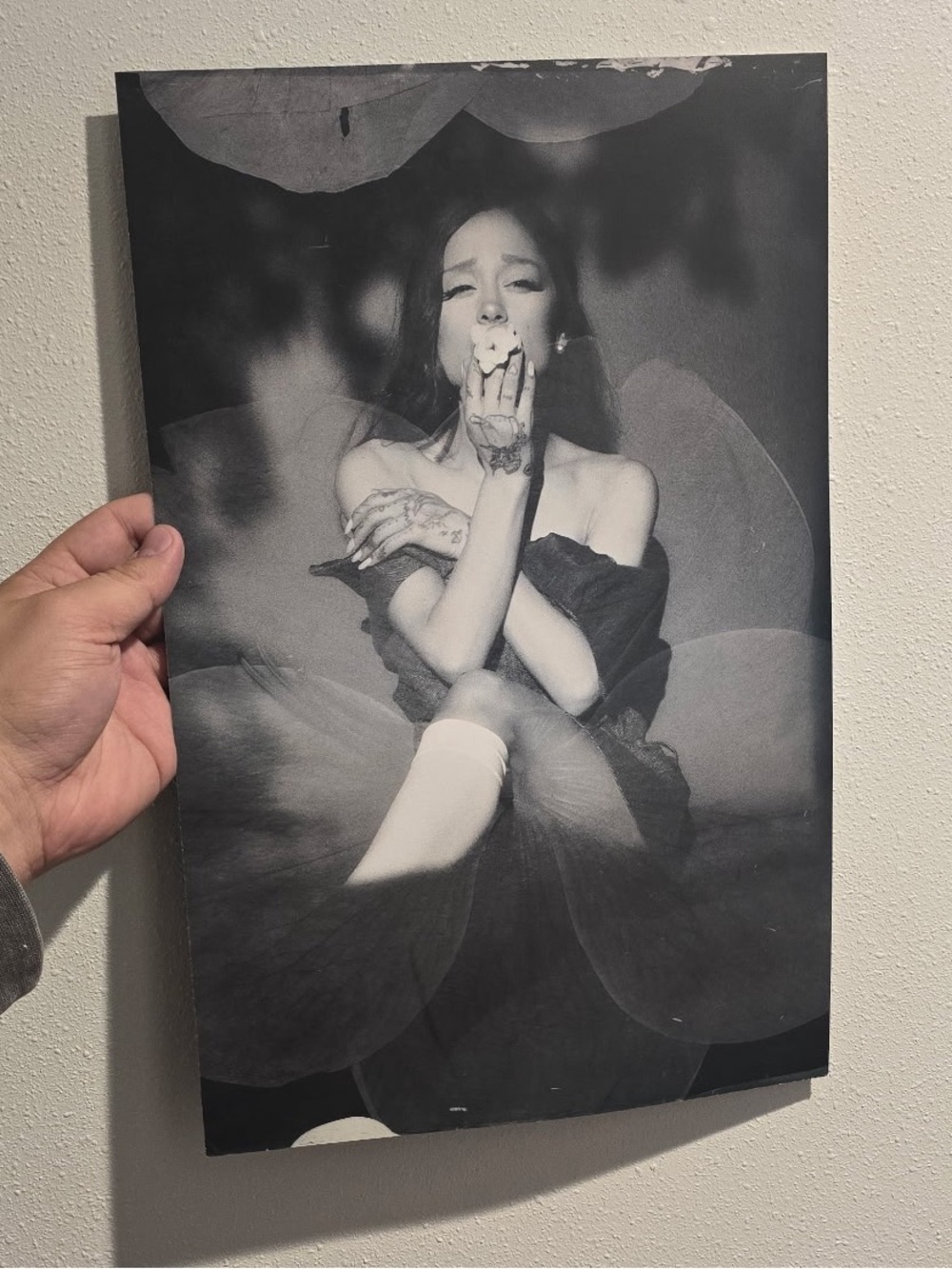 Petal Poster